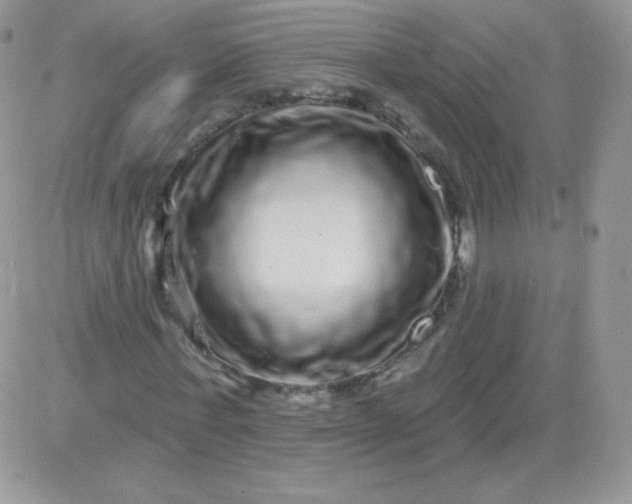 X0000081340771200701251858