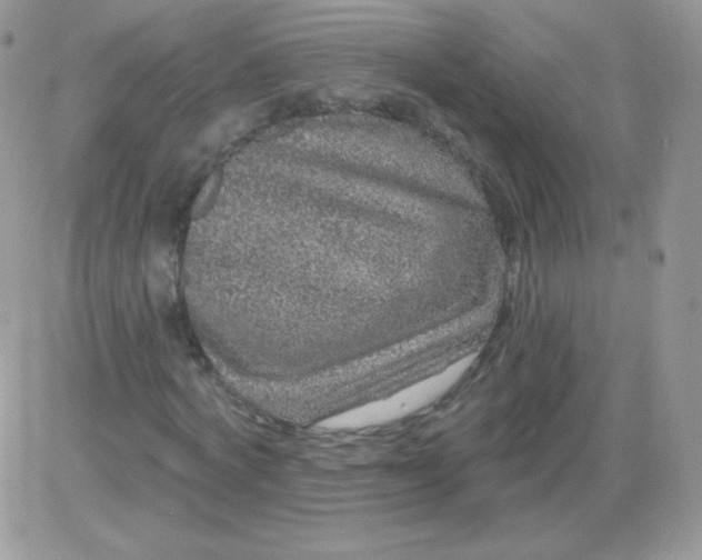 X0000081340772200701251858