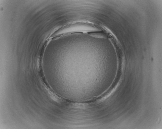 X0000081340777200701251858