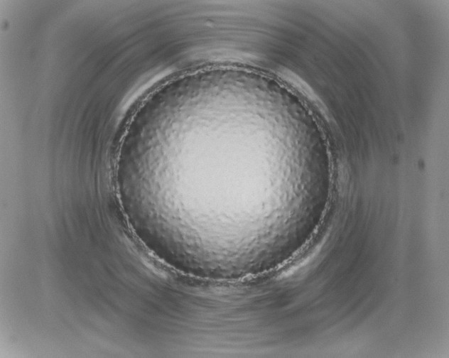X0000081340782200701251858