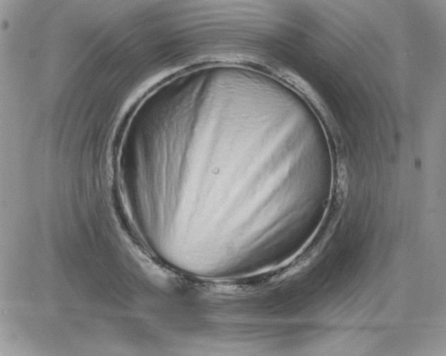 X0000081340787200701251858