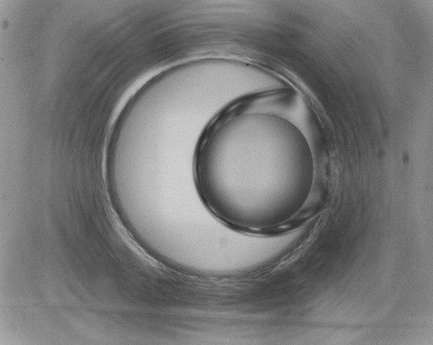 X0000081340788200701251858