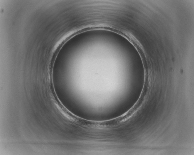 X0000081340789200701251858