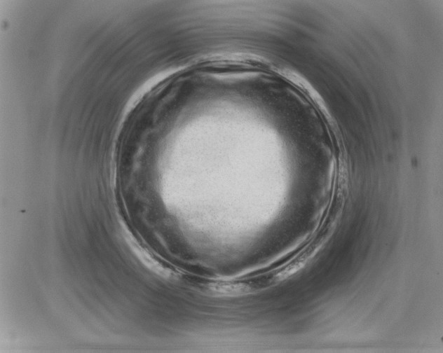 X0000081340795200701251857