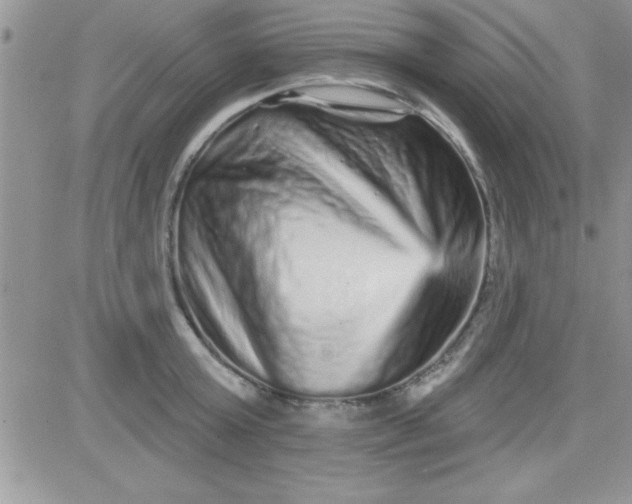 X0000081340803200701251857