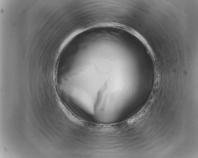 X0000081340811200701251857