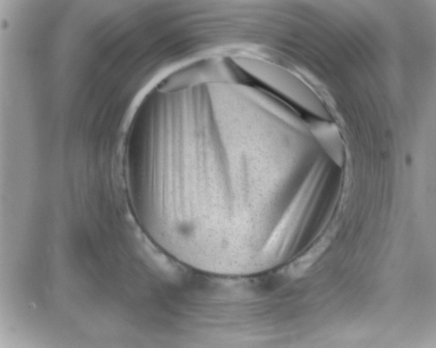 X0000081340816200701251857