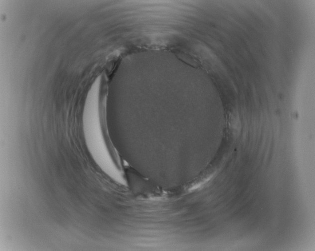 X0000081340818200701251856