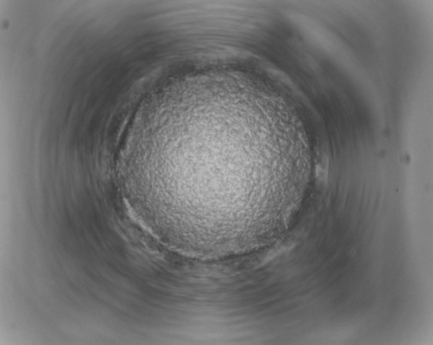 X0000081340819200701251856