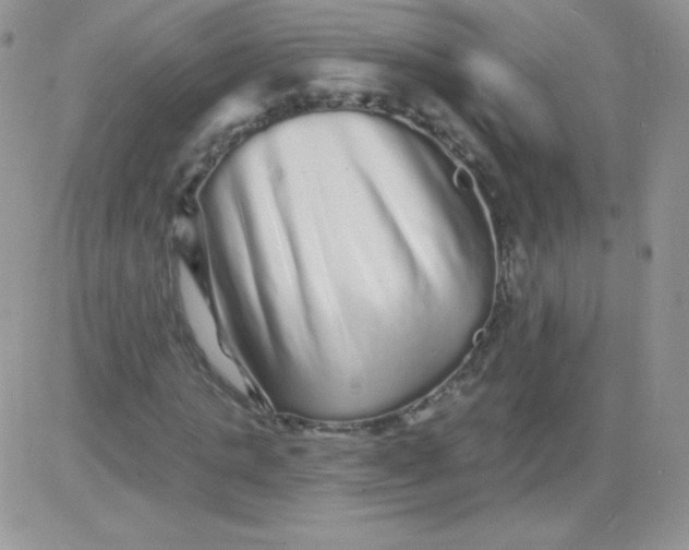 X0000081340821200701251856