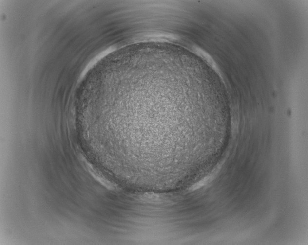 X0000081340827200701251856