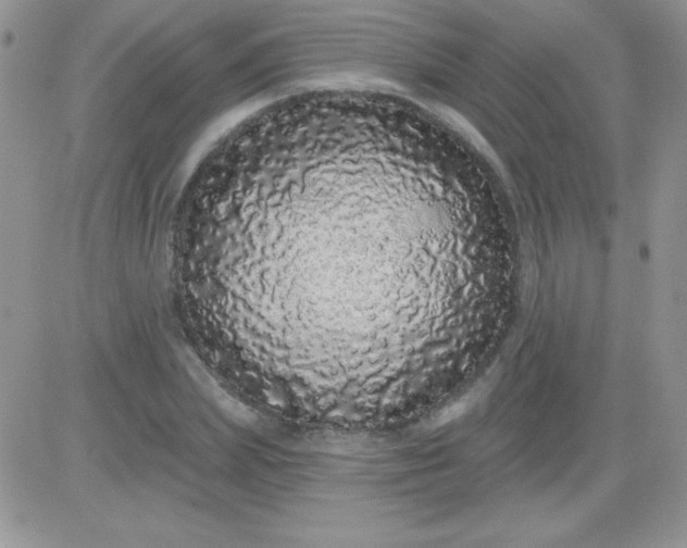 X0000081340831200701251857
