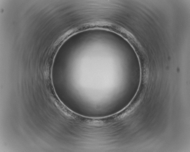 X0000081340833200701251857