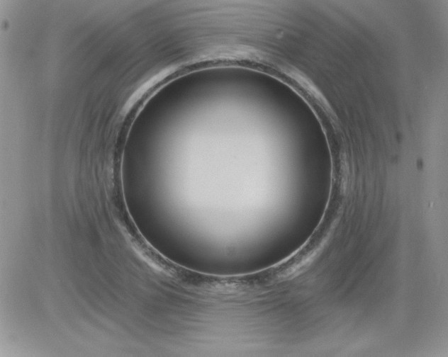 X0000081340834200701251857