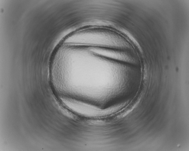 X0000081340837200701251857