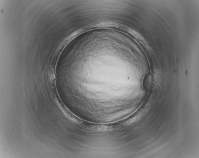 X0000081340841200701251857