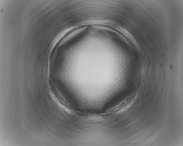 X0000081340844200701251857