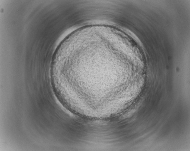 X0000081340847200701251857