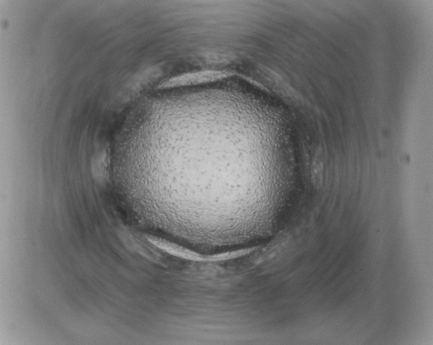 X0000081340866200701251856