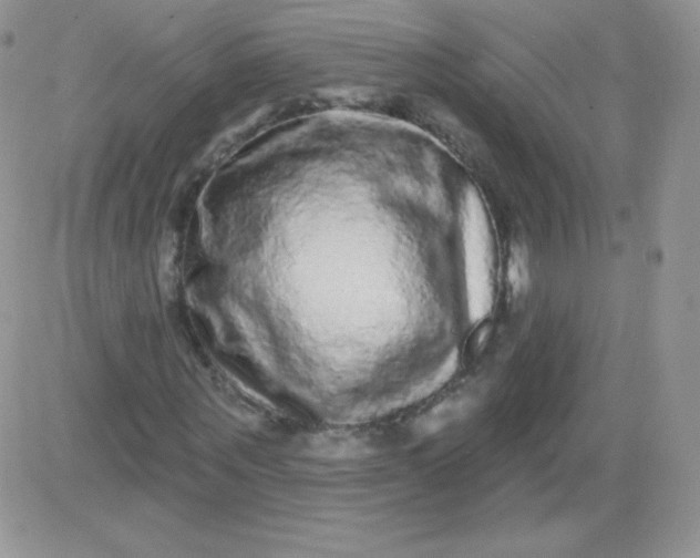 X0000081340867200701251856