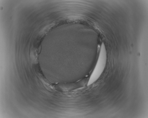 X0000081340868200701251856