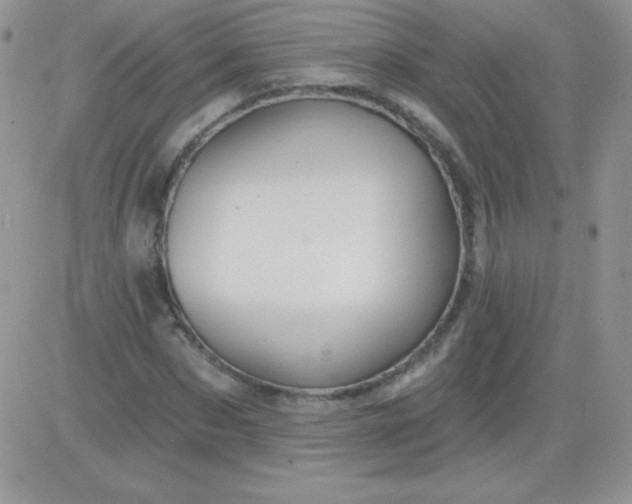 X0000081340873200701251856
