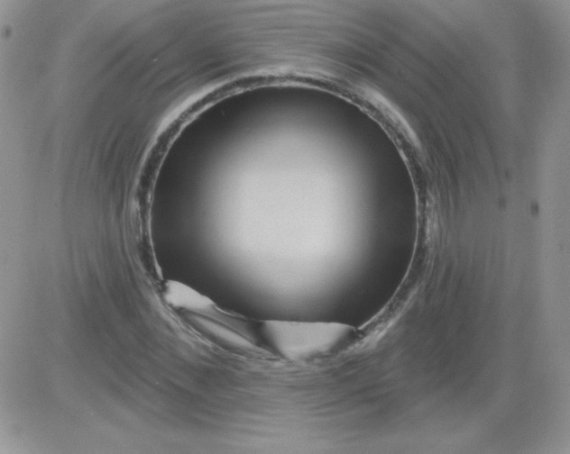 X0000081340876200701251856