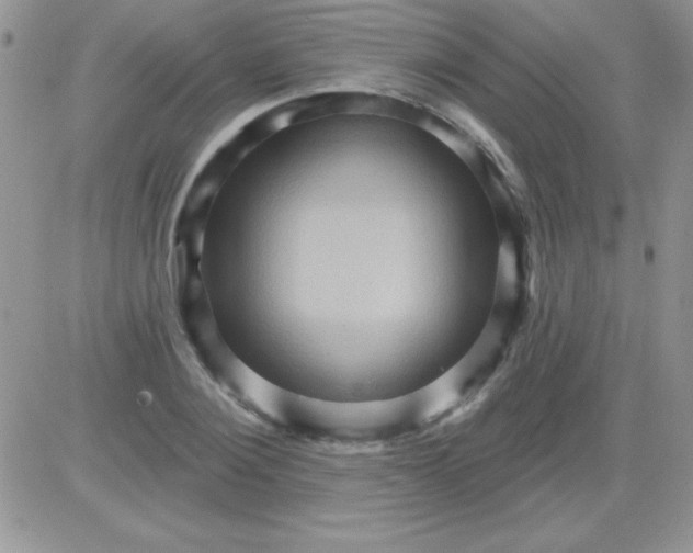 X0000081340884200701251856