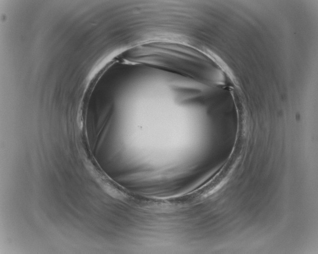 X0000081340885200701251856