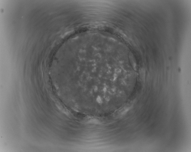 X0000081340913200701251855