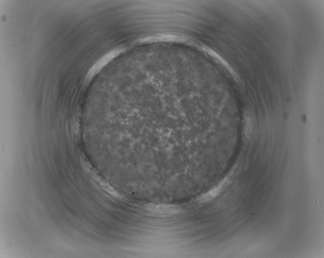 X0000081340921200701251855