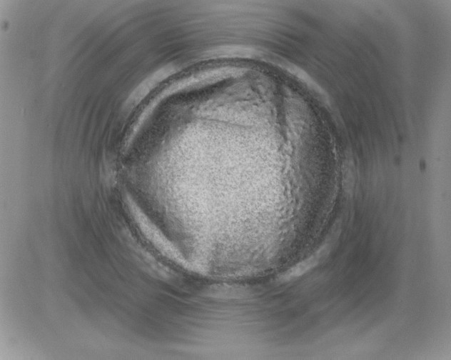 X0000081340929200701251855