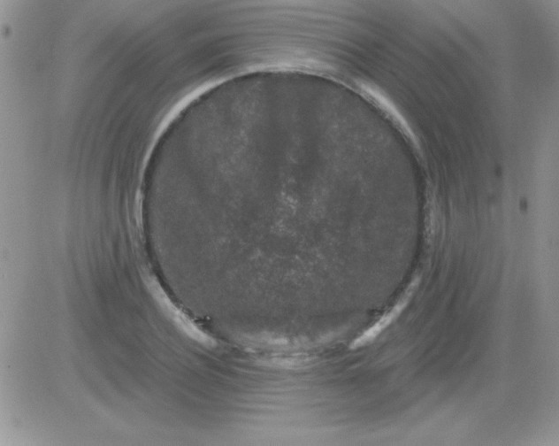 X0000081340932200701251855