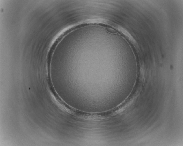 X0000081340934200701251855