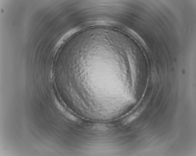 X0000081340938200701251855