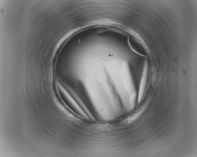 X0000081340939200701251855