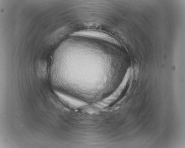 X0000081340963200701251855