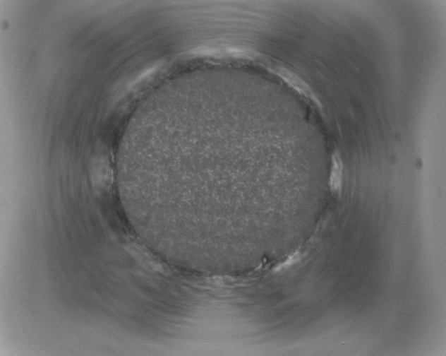 X0000081340966200701251855
