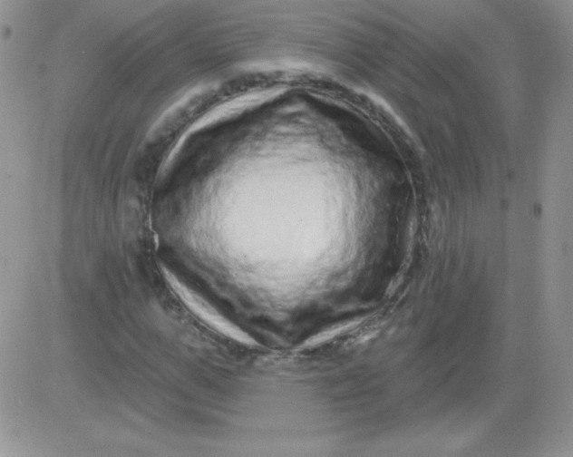 X0000081340967200701251855