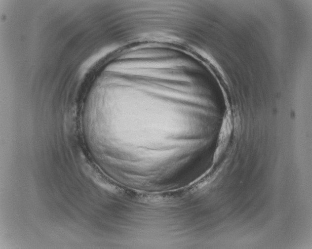 X0000081340971200701251855