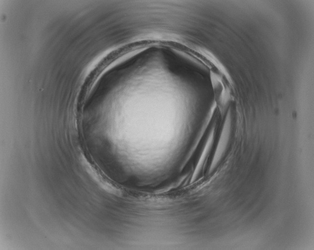 X0000081340972200701251855
