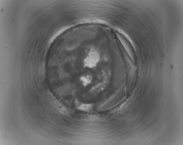X0000081340975200701251854