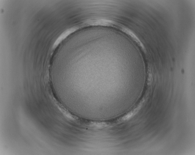 X0000081340978200701251854