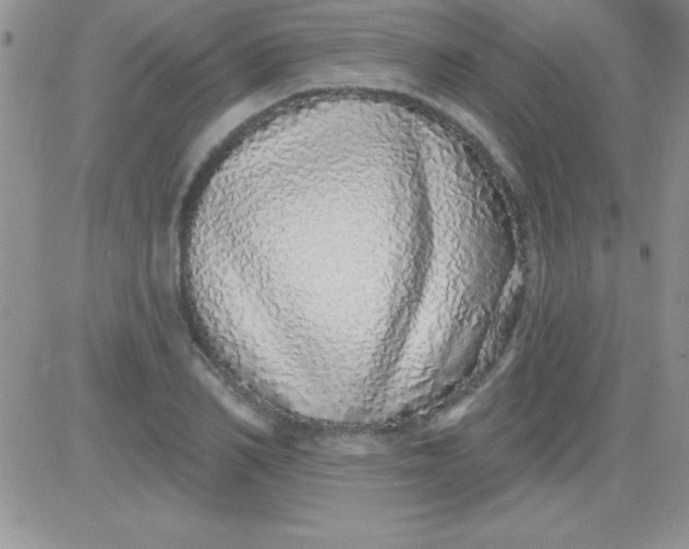 X0000081340982200701251854