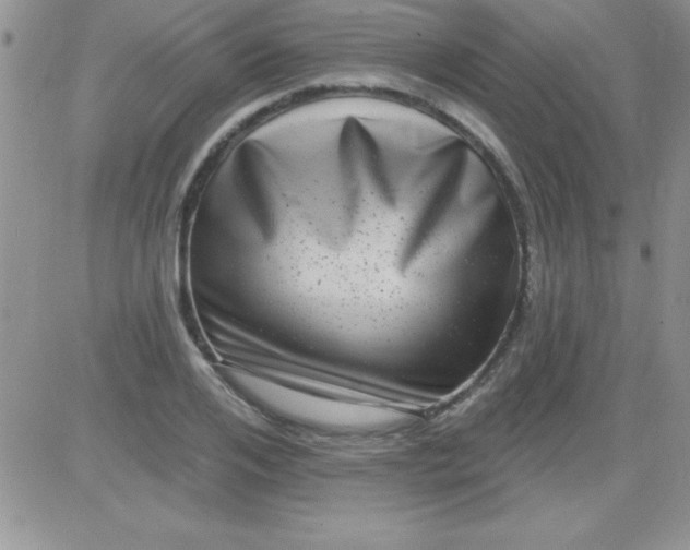 X0000081340984200701251854