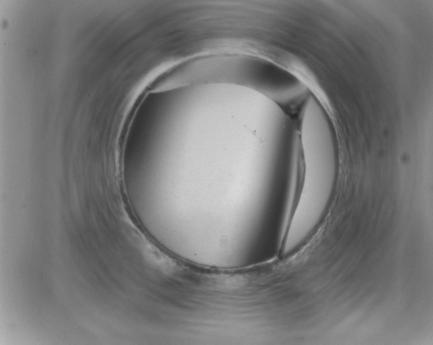 X0000081340996200701251854