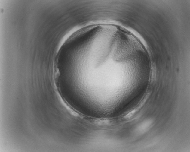 X0000081341006200701251854