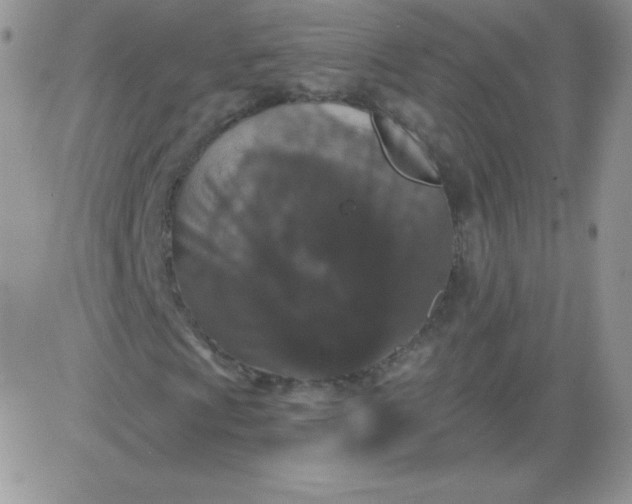 X0000081341009200701251853
