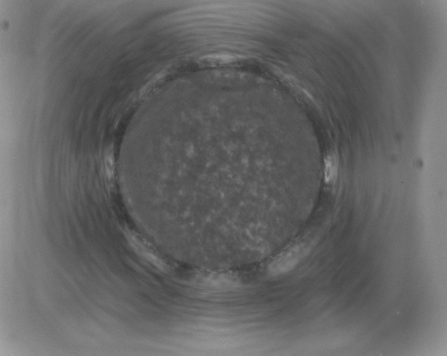 X0000081341011200701251853