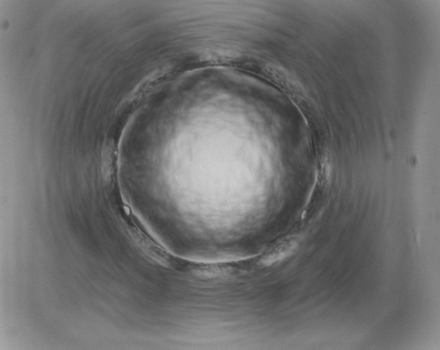 X0000081341012200701251853